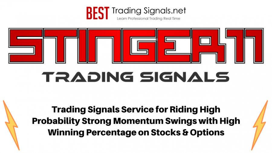 STINGER11 Trading Signals Service – Stock Signals – Options Signals